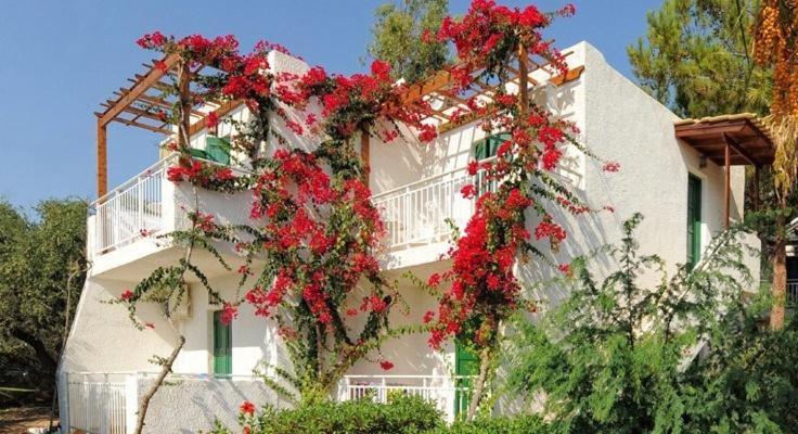 Σαραντάρι Διαμερίσματα 赫索尼索斯 外观 照片